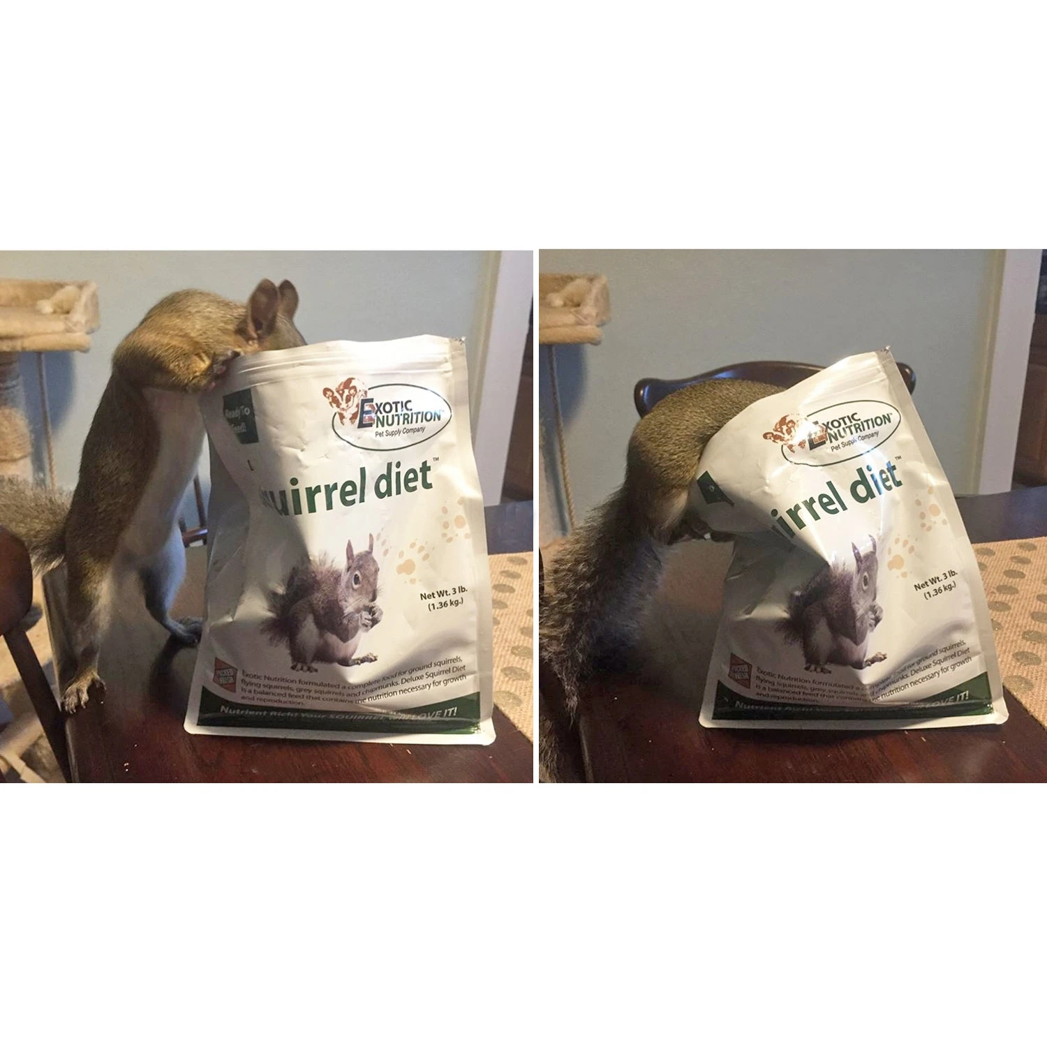 Deluxe Squirrel Diet 2 Lb. Squirrel Food 6 Deluxe Squirrel Diet 2 Lb. Squirrel Food - Image 6