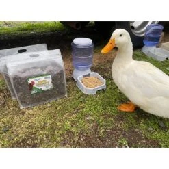 Dried Crickets 2.2 Lb. 7 Dried Crickets 2.2 Lb. -Nutrition Pet Shop CustomerPhoto DriedCrickets 1 b0564db5 055e 4564 a5f9 92ebf074ab54