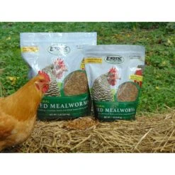 Dried Mealworms 2 Lb. 26 Dried Mealworms 2 Lb. -Nutrition Pet Shop CustomerPhoto DriedMealworms 3 e9ce3774 fcd5 4e72 8238 629caf08d32d