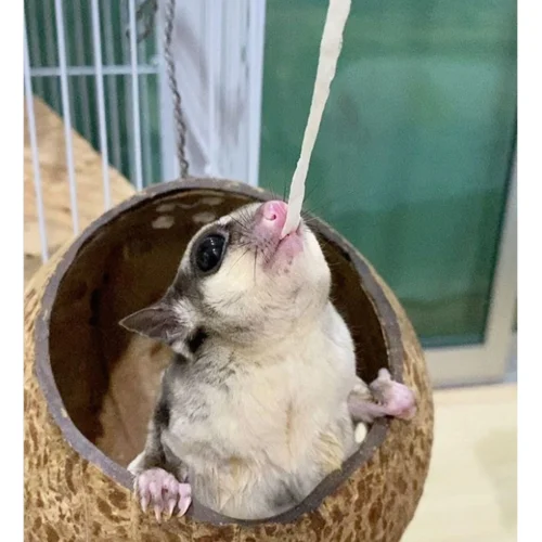 Omega Yums Fish Sticks 16 Omega Yums Fish Sticks -Nutrition Pet Shop CustomerPhoto FishStix 2