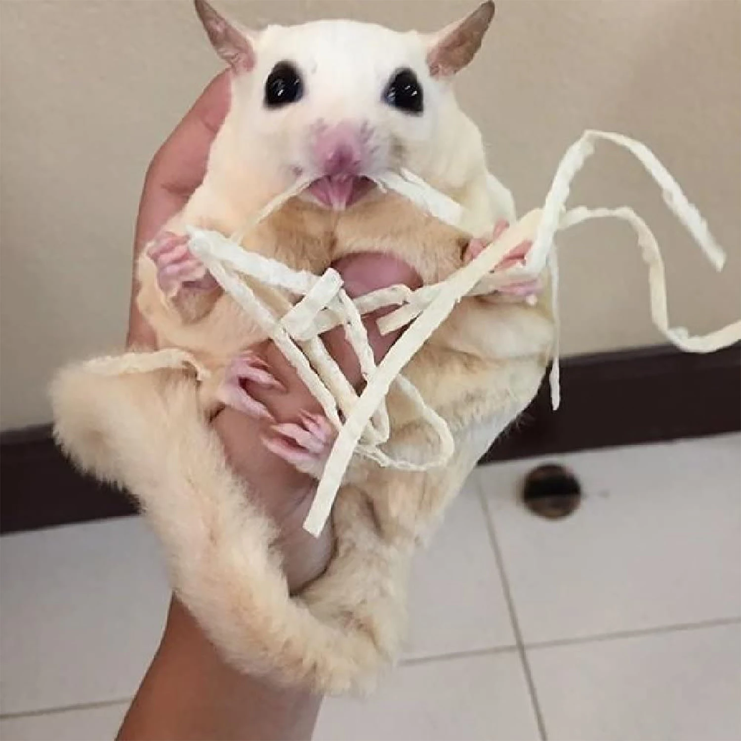 Omega Yums Fish Sticks 8 Omega Yums Fish Sticks - Image 8