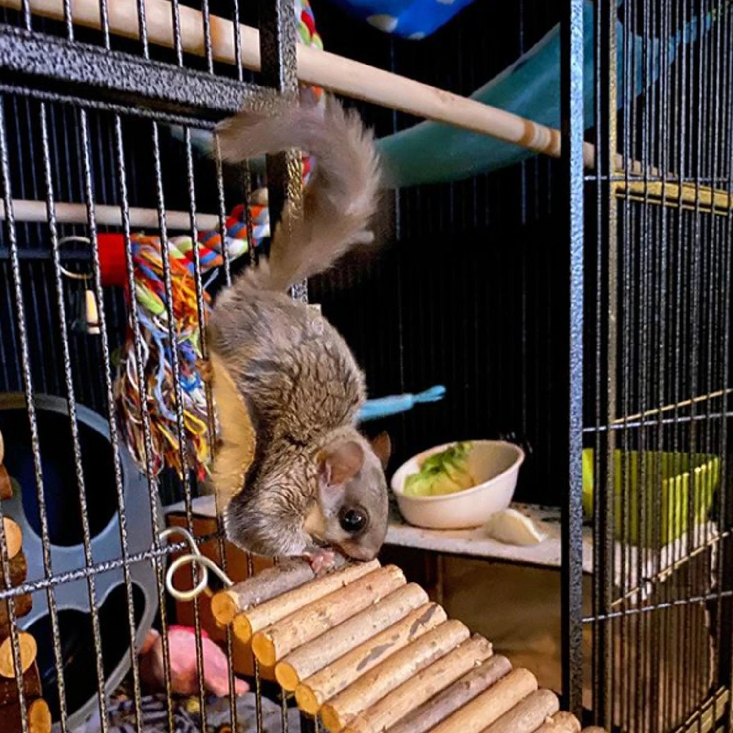 Flex Bridge 6 Flex Bridge - Image 6