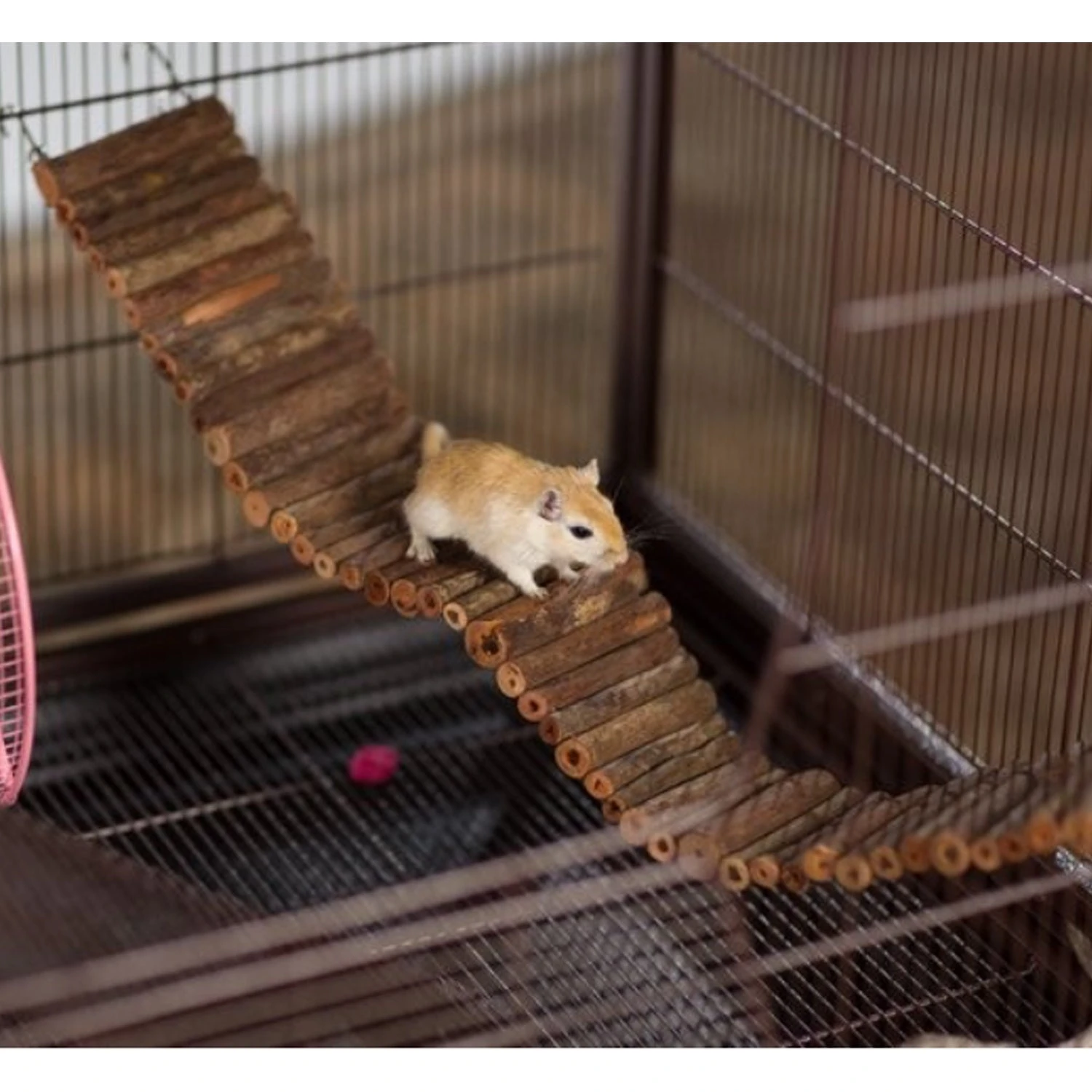 Flex Bridge 5 Flex Bridge - Image 5