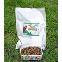 Dried Crickets 8 Oz. -Nutrition Pet Shop CustomerPhoto HeatherWolf DriedCricketsInYard 1 0eaf04c6 d5b4 4fcc b57f b47c7ec2f16e