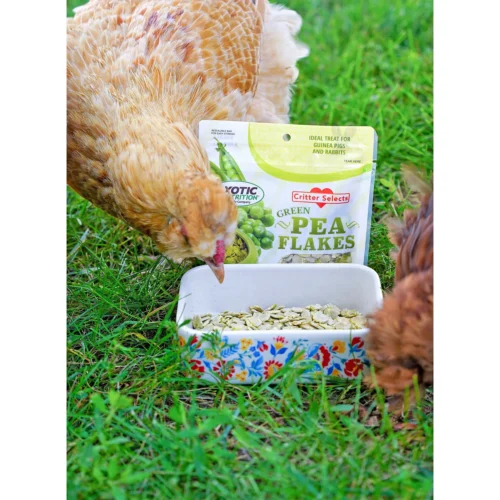 Green Pea Flakes 18 Green Pea Flakes -Nutrition Pet Shop CustomerPhoto HeatherWolf PeaFlakesinYardwithChicken 1