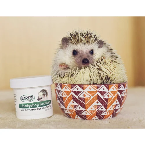 Hedgehog Booster (Multivitamin) 5 Hedgehog Booster (Multivitamin) -Nutrition Pet Shop CustomerPhoto HedgehogBooster 1