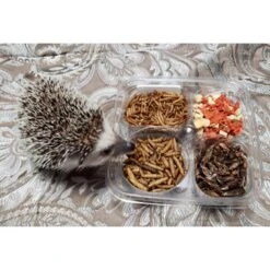 Hedgehog Treat Variety Pack 13 Hedgehog Treat Variety Pack -Nutrition Pet Shop CustomerPhoto HedgehogTreatVarietyPack 2