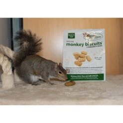 Monkey Biscuits -Nutrition Pet Shop CustomerPhoto MonkeyBiscuits 1