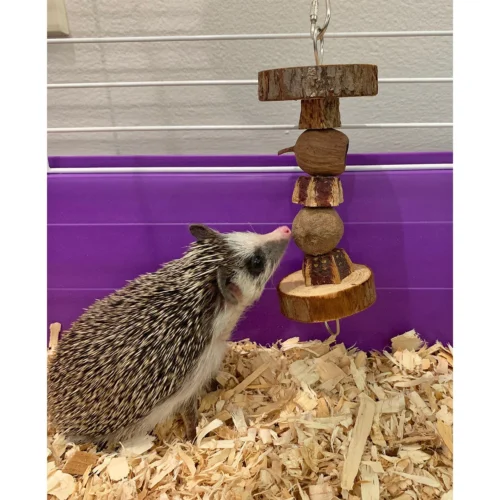 Native Dumbbell -Nutrition Pet Shop CustomerPhoto NativeDumbbell 3