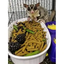 Premium Insectivore Diet Sugar Glider & Hedgehog Food -Nutrition Pet Shop CustomerPhoto PremiumInsectivoreDiet 2