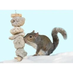 Pumice Chew Dangle 6 Pumice Chew Dangle -Nutrition Pet Shop CustomerPhoto PumiceChewDangle 3