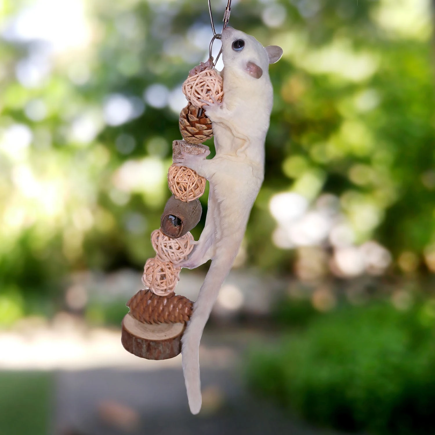 Woodland Accessory Bundle 6 Woodland Accessory Bundle - Image 6