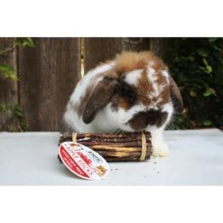 Chew Assortment 29 Chew Assortment -Nutrition Pet Shop CustomerPhotoAppleSticks2 d0e4e8a5 e3f5 406e b73e 273a406b062c