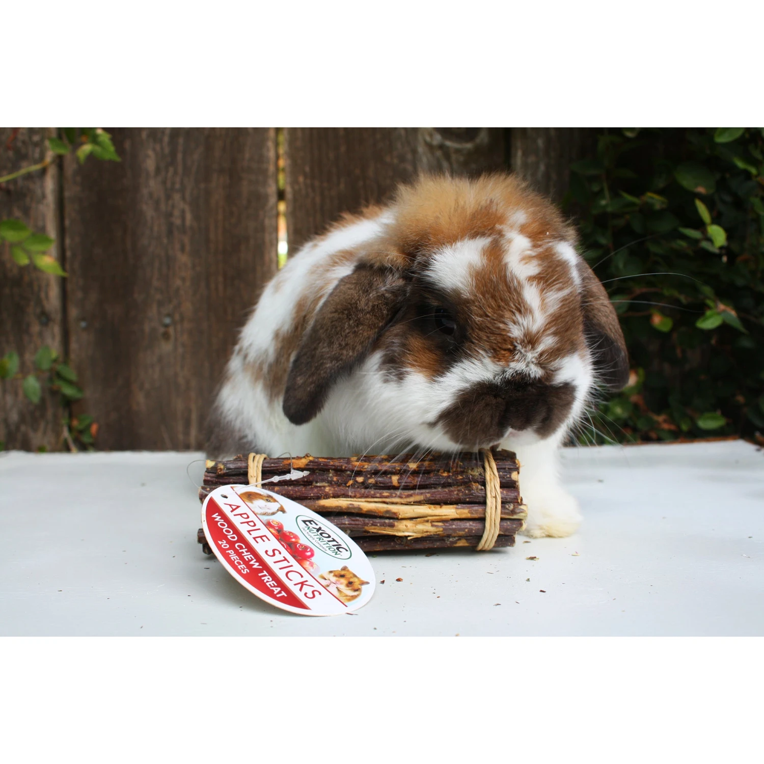 Chew Assortment 13 Chew Assortment - Image 13