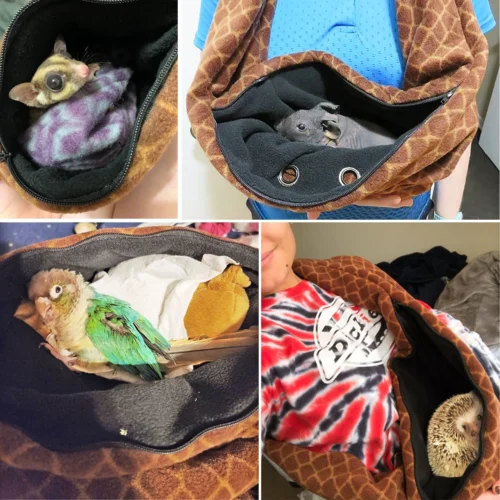 Bonding Scarf -Nutrition Pet Shop CustomerPhotoBondingScarf3