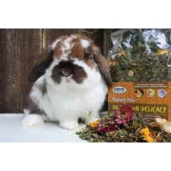 Dandelion Delicacy 10 Dandelion Delicacy -Nutrition Pet Shop CustomerPhotoDandelionDelicacy1