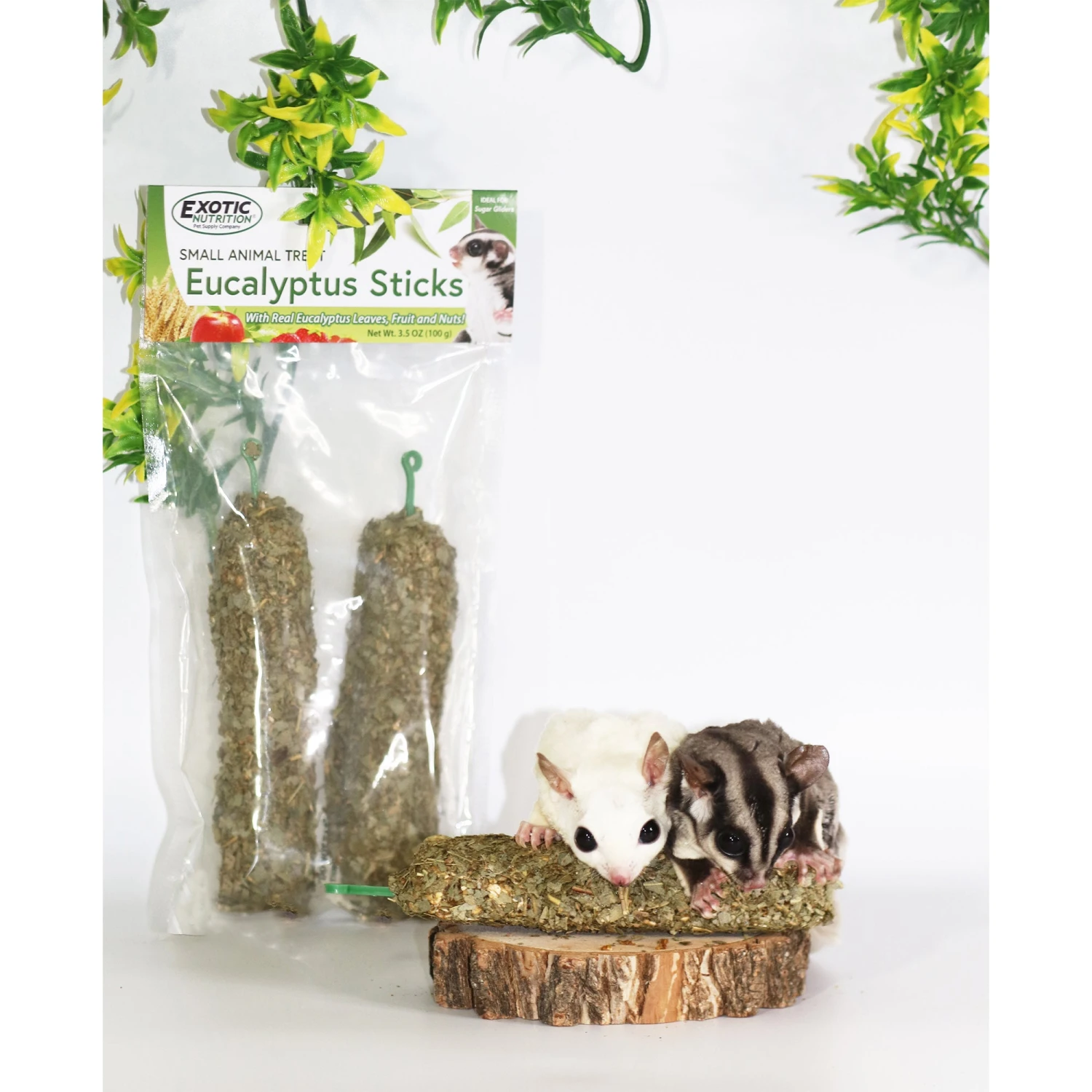 Eucalyptus Sticks 5 Eucalyptus Sticks - Image 5