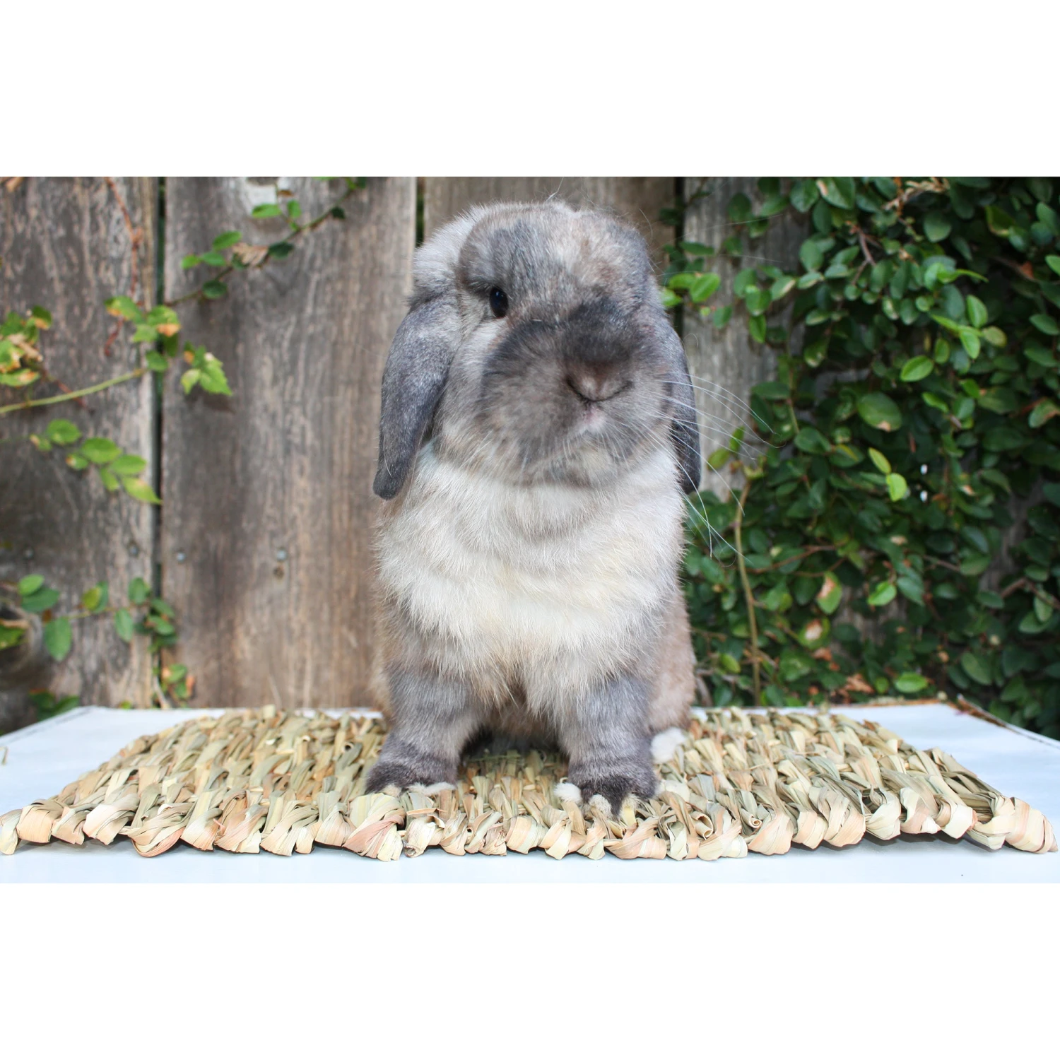 Woven Grass Mat 6 Woven Grass Mat - Image 6