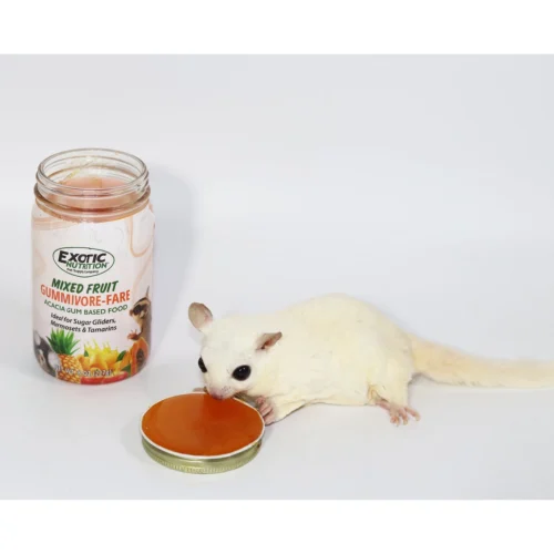 Gummivore-Fare Sugar Glider Food -Nutrition Pet Shop CustomerPhotoGummivorefareFruitWithGlider1 922ab554 903d 4cd7 93c9 ce1cdaf8f271