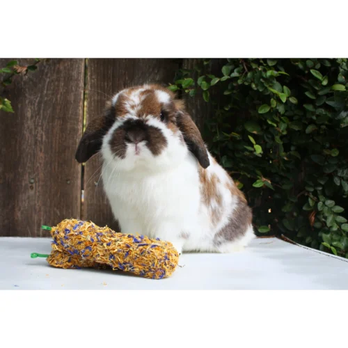 Chew Sticks With Marigold -Nutrition Pet Shop CustomerPhotoMunchersMarigoldCornflowerChewTreatStick1 9c132a74 d277 4f37 9a2f a6da6dbd4c8c