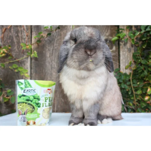 Green Pea Flakes 27 Green Pea Flakes -Nutrition Pet Shop CustomerPhotoPeaFlakes1
