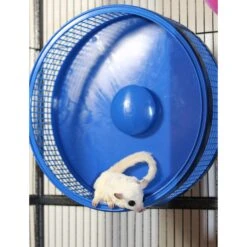 Silent Runner 12" PRO 39 Silent Runner 12" PRO -Nutrition Pet Shop CustomerPhotoSilentRunnerProWheelWithGlider2