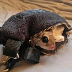 Teardrop Carry Pouch -Nutrition Pet Shop CustomerPhotoTeardropCarryPouch1