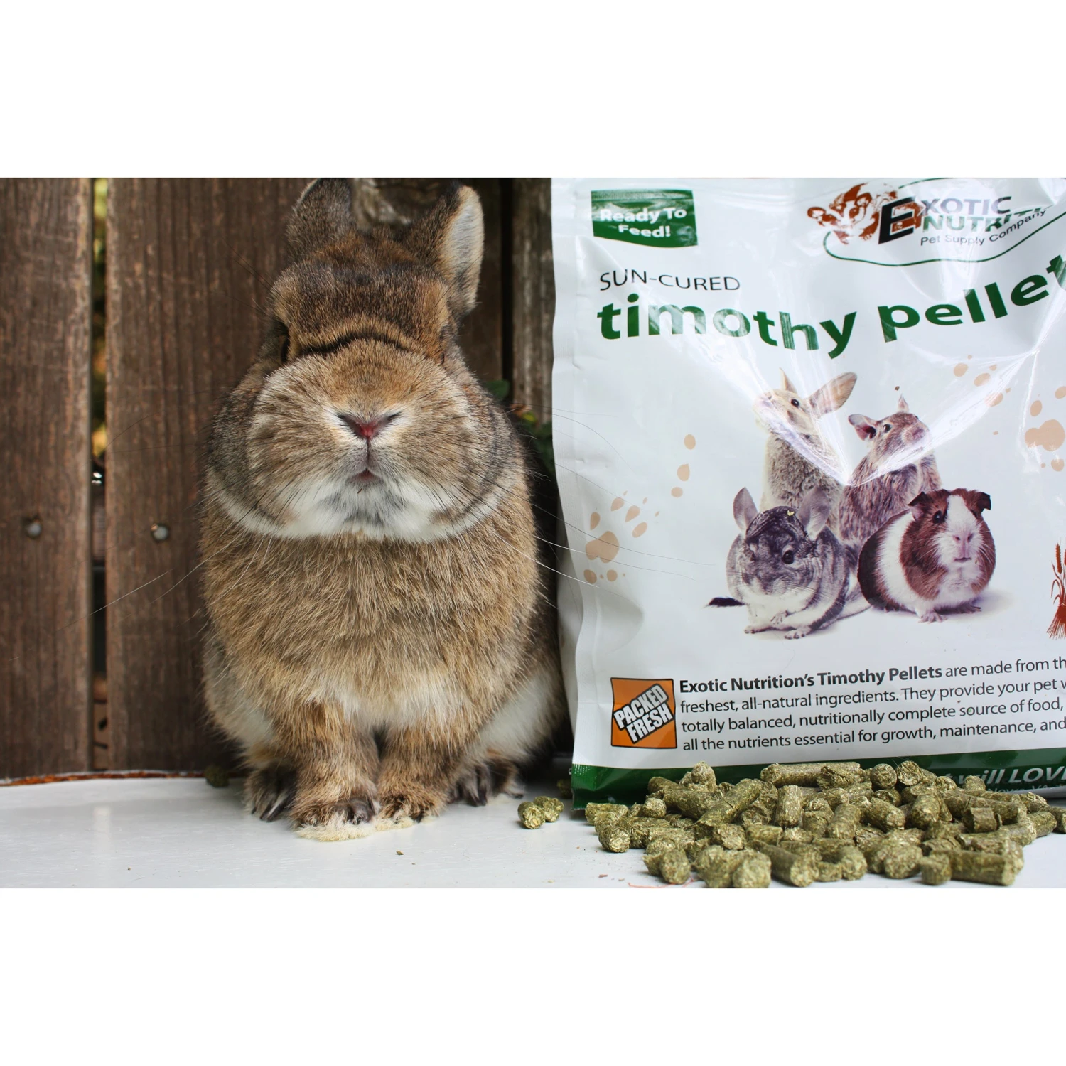 Timothy Pellets Rabbit & Guinea Pig Food 4 Timothy Pellets Rabbit & Guinea Pig Food - Image 4
