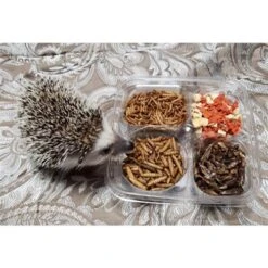 Hedgehog Treat Sampler -Nutrition Pet Shop Customer 20Photo 20 20Hedgehog 20Treat 20Variety 20Pack 20 2