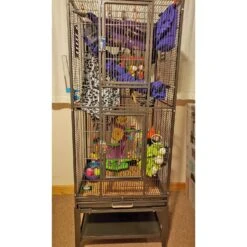 Madagascar Cage -Nutrition Pet Shop Customer Photo Madagascar Cage 14 1