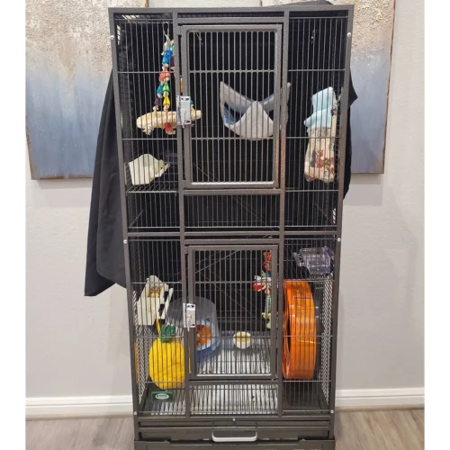 Madagascar Cage 19 Madagascar Cage -Nutrition Pet Shop Customer Photo Madagascar Cage 9 1