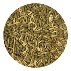 Front Page -Nutrition Pet Shop DeguDietFoodPic1