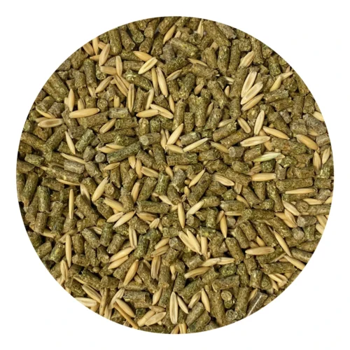 Front Page -Nutrition Pet Shop DeguDietFoodPic1