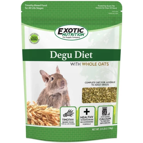 Degu Diet With Whole Oats Degu Food