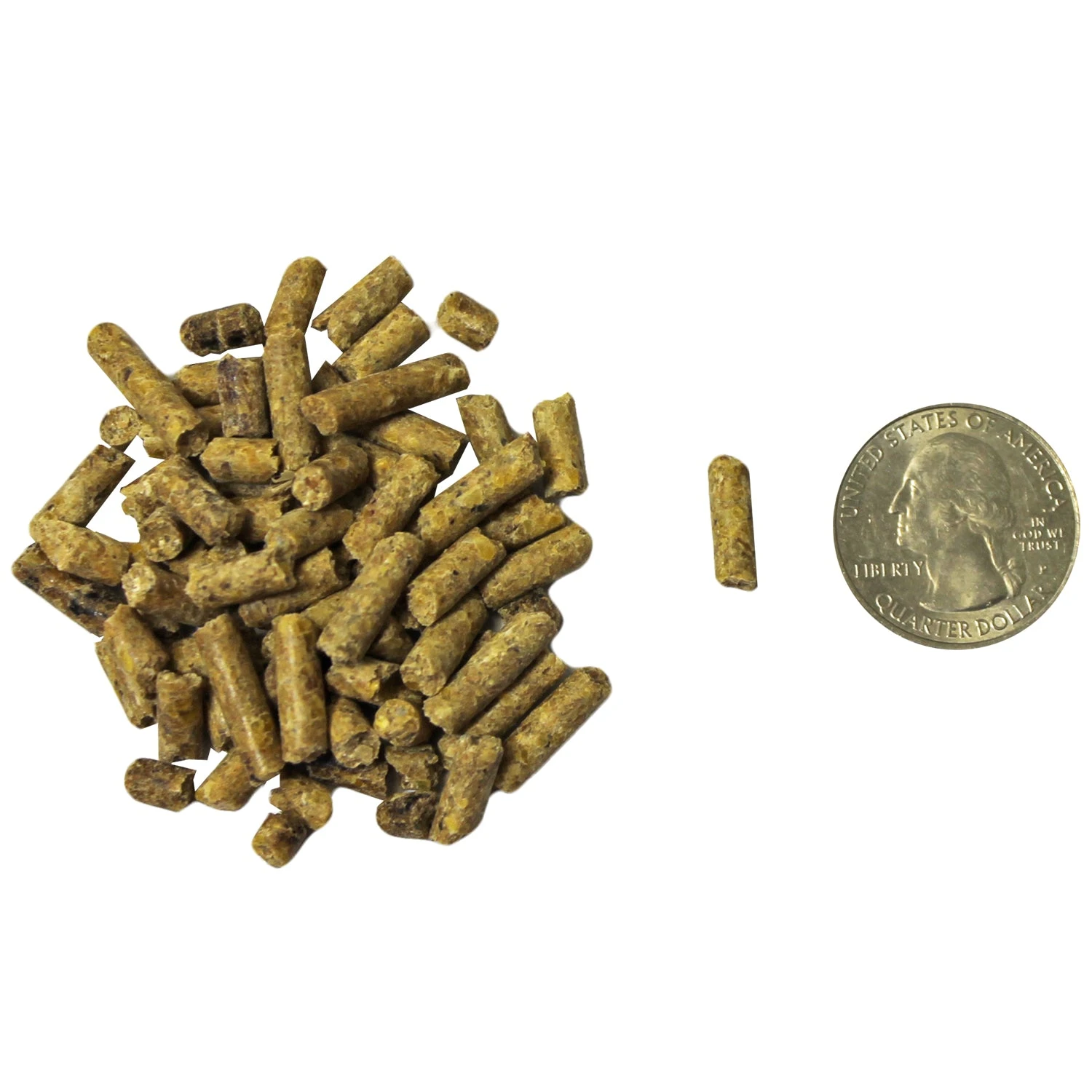 Deluxe Squirrel Diet 2 Lb. Squirrel Food 4 Deluxe Squirrel Diet 2 Lb. Squirrel Food - Image 4