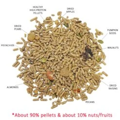 Front Page -Nutrition Pet Shop DeluxeSquirrelDietFoodPic 5