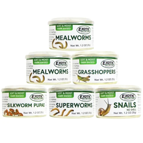 Canned Insect Assortment 6 Canned Insect Assortment -Nutrition Pet Shop Double mealworms silkworms super grasshoppers snails 42750869 ea15 4ae6 8630 90f948f03881