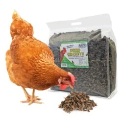 Dried Crickets 2.2 Lb. 6 Dried Crickets 2.2 Lb. -Nutrition Pet Shop DriedCrickets2.2lb 7 c419cb92 6834 46df ba75 ee6768865ea1