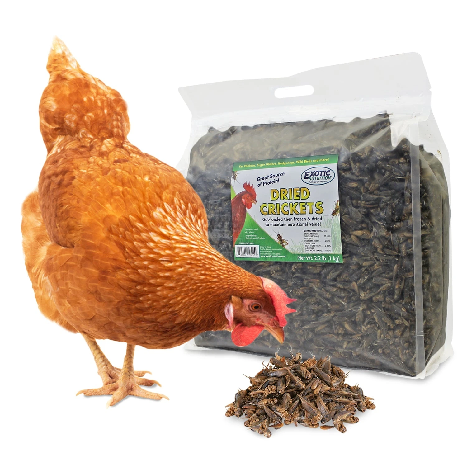 Dried Crickets 2.2 Lb. 3 Dried Crickets 2.2 Lb. - Image 3