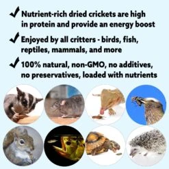 Mealworm Breeder Kit -Nutrition Pet Shop DriedCricketsAdditionalPic1 1 32166f2e 69af 4439 840e f8930864ea40