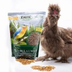 Front Page -Nutrition Pet Shop DriedMealworm1lbWithChicken1 73f85ce5 f2cf 4fd4 a456 17013f5fa63e