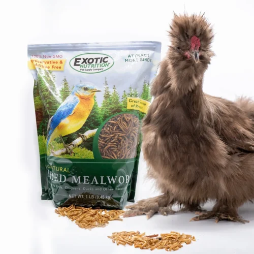 Front Page -Nutrition Pet Shop DriedMealworm1lbWithChicken1 73f85ce5 f2cf 4fd4 a456 17013f5fa63e