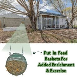 Dried Mealworms 2 Lb. 25 Dried Mealworms 2 Lb. -Nutrition Pet Shop DriedMealwormFeedBasket1 8ad427e9 4b04 48c3 bae0 635e4671bfc2