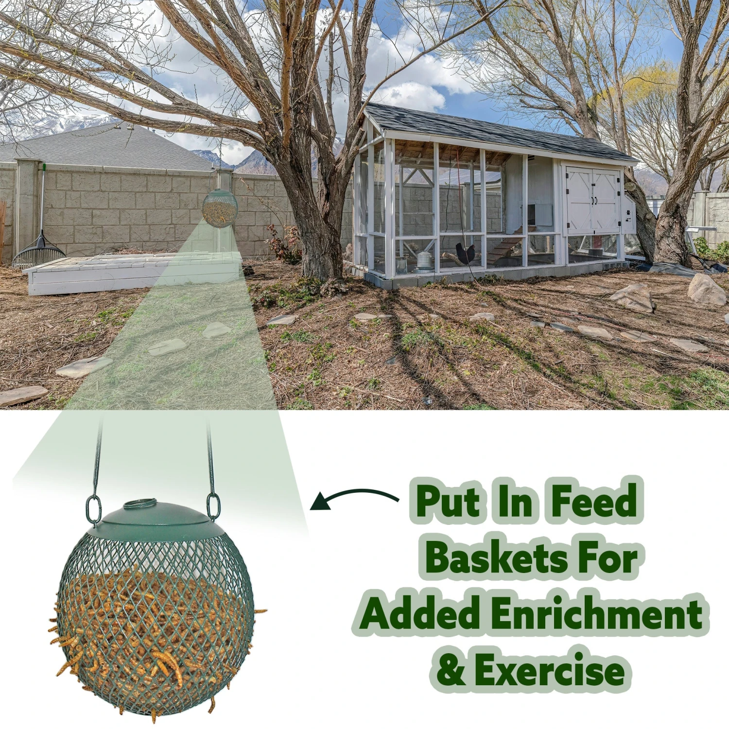 Dried Mealworms Bulk 10 Dried Mealworms Bulk - Image 10