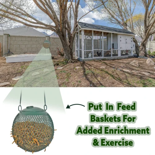 Dried Mealworms 5 Lb. -Nutrition Pet Shop DriedMealwormFeedBasket1 f0ca79a4 2fbb 46d6 8410 ef07bfeb3d76