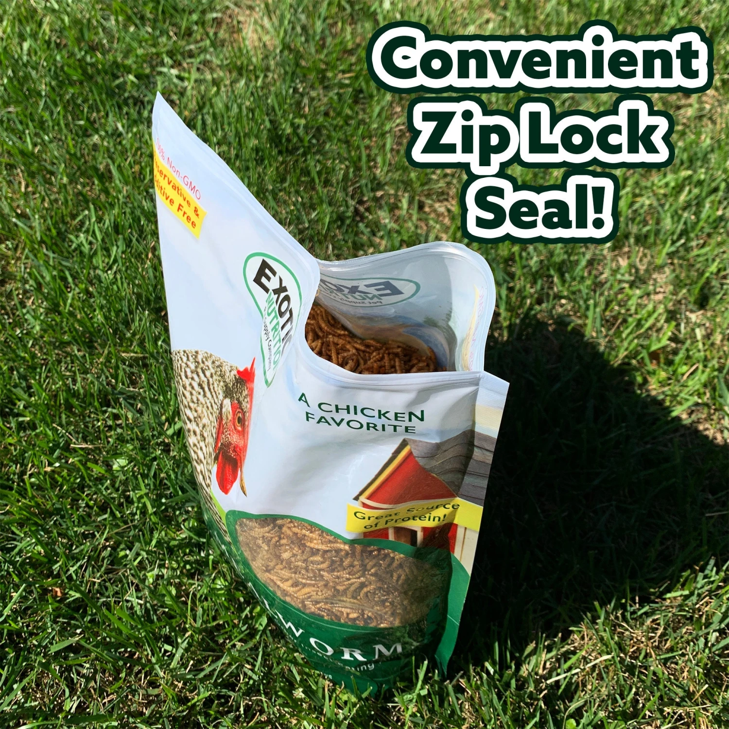 Dried Mealworms 1 Lb. 3 Dried Mealworms 1 Lb. - Image 3