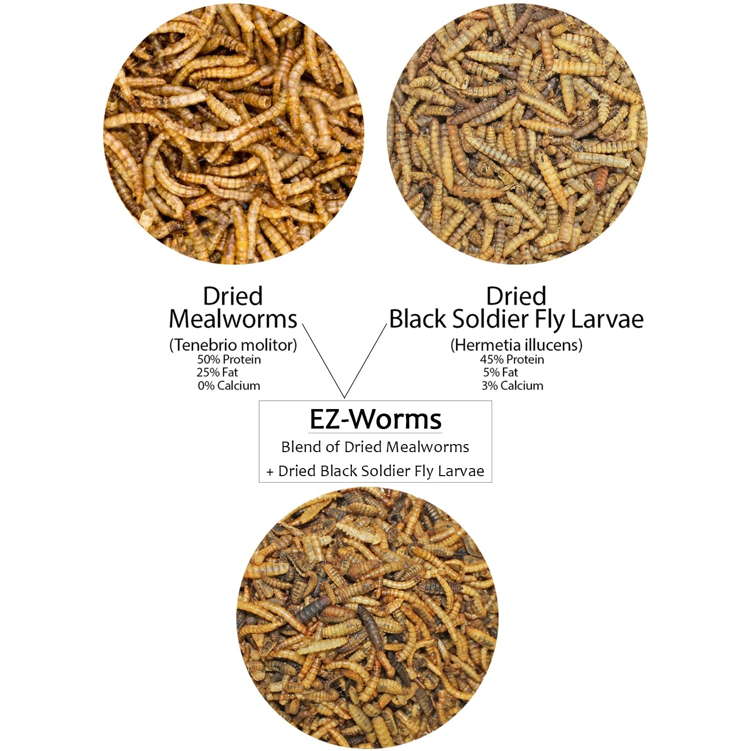 EZ-Worms 2 EZ-Worms - Image 2