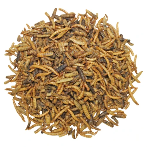 EZ-Worms 6 EZ-Worms -Nutrition Pet Shop EZ Worms 1 88375efa a922 4db0 a161 a14668e58877