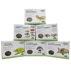 Fresh Feeders -Nutrition Pet Shop FreshFeedersAll 2 70f1e18a 17de 4cda a03e fb37a1c53dc0