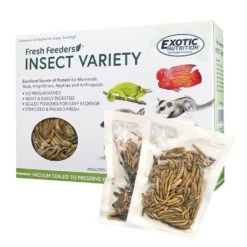 Fresh Feeders -Nutrition Pet Shop FreshFeedersInsectVariety 2 267dffae e7b4 4103 88fa e51f178c9582